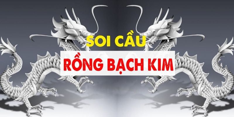 Một vài lưu ý quan trọng về dàn số rồng bạch kim